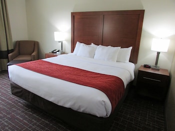 Standard Room, 1 King Bed, Non Smoking