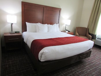 Room, 1 King Bed, Accessible, Non Smoking