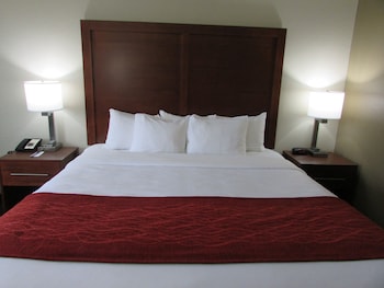 Room, 1 King Bed, Accessible, Non Smoking
