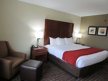 Standard Room, 1 King Bed, Non Smoking