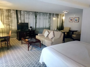 Garden Tower Junior Suite, 1 King Bed with Sofa Sleeper