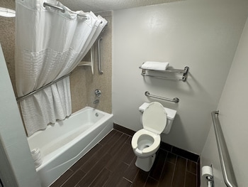 Standard Room, 1 King Bed, Accessible