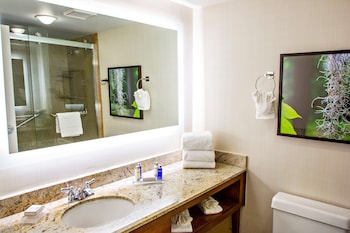 Suite, 1 Bedroom, Accessible (Mobility, Roll-in Shower)
