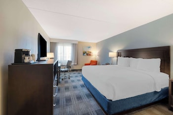 Standard Room, 1 King Bed, Accessible, Non Smoking