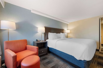 Standard Room, 1 King Bed, Accessible, Non Smoking