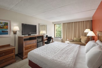 Standard Room, 1 King Bed