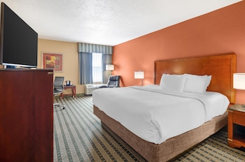 Standard Room, 1 King Bed, Accessible, Non Smoking