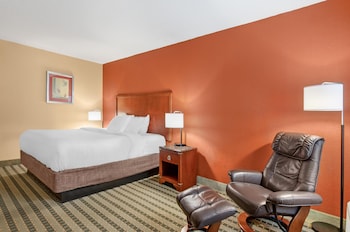 Standard Room, 1 King Bed, Non Smoking
