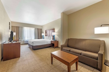 Suite, 1 King Bed with Sofa bed, Non Smoking
