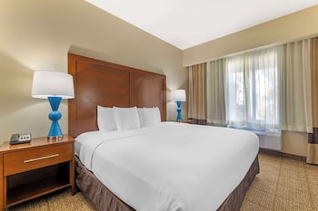 Suite, 1 King Bed with Sofa bed, Accessible, Non Smoking