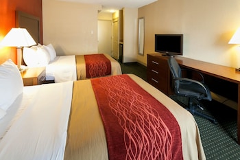Standard Room, 2 Double Beds, Non Smoking