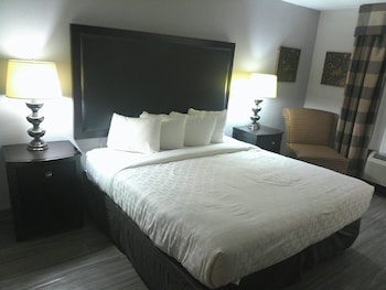 Superior Room, 1 King Bed, Accessible (Smoke-Free, Roll-In Shower)
