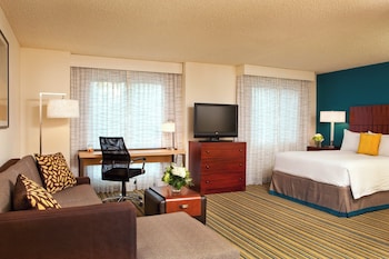 Studio Suite, 1 Queen Bed with Sofa bed