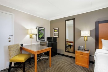 Room, 1 King Bed, Non Smoking