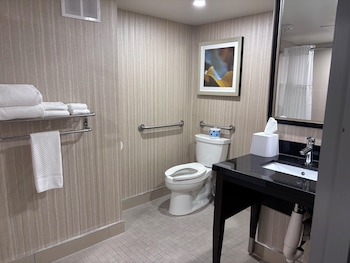 Room, 1 Queen Bed, Accessible, Bathtub