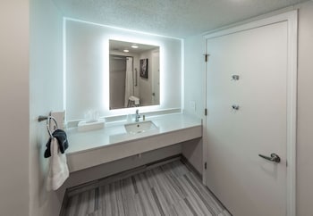 Standard Room, 1 King Bed, Accessible, Refrigerator & Microwave (Walk-in Shower)