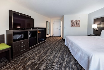Standard Room, 1 King Bed, Accessible, Refrigerator & Microwave (Walk-in Shower)