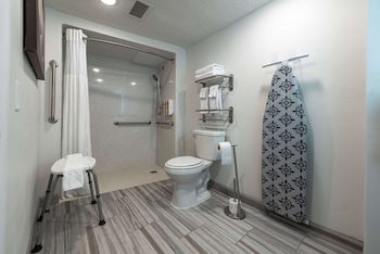 Standard Room, 1 King Bed, Accessible, Refrigerator & Microwave (Walk-in Shower)