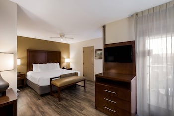 Room, 1 King Bed with Sofa bed, Non Smoking, Jetted Tub (Upgrade)