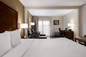 Room, 1 King Bed, Non Smoking