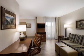 Room, 1 King Bed with Sofa bed, Non Smoking, Jetted Tub (Upgrade)
