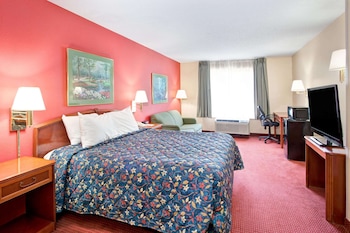 Room, 1 King Bed, Non Smoking