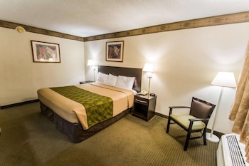 Standard Room, 1 King Bed, Smoking