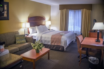 Suite, 1 King Bed with Sofa bed, Non Smoking