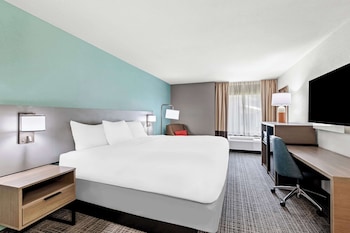 Standard Room, 1 King Bed, Non Smoking