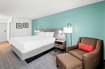 Standard Room, 1 King Bed, Non Smoking