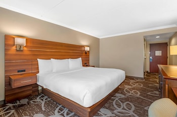 Standard Room, 1 King Bed, City Side, Non Smoking