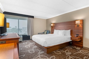 Standard Room, 1 King Bed, City Side, Non Smoking