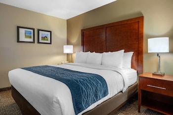 Room, 1 King Bed, Accessible, Non Smoking
