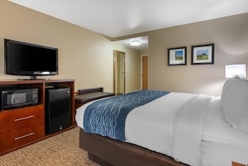 Standard Room, 1 King Bed, Non Smoking
