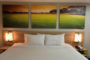 Room, 1 King Bed, Non Smoking