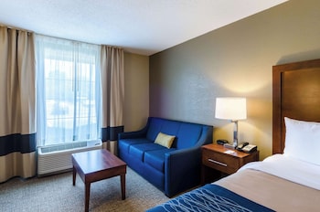 Business Room, 1 King Bed, Non Smoking