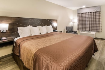 Standard Room, 1 King Bed, Smoking