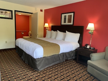 Room, 1 King Bed, Accessible, Non Smoking (Handicap)