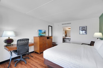 Standard Room, 1 King Bed, Non Smoking