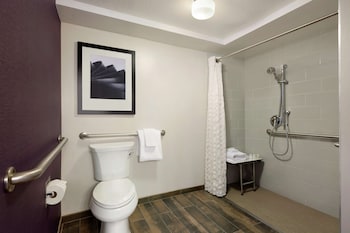Suite, 1 King Bed, Accessible (Roll-in Shower)
