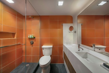 Room, 1 King Bed, Mobility Accessible