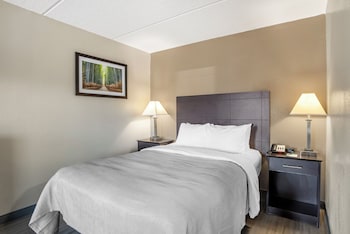 Suite, 1 King Bed with Sofa bed, Non Smoking (Efficiency, Upgrade)