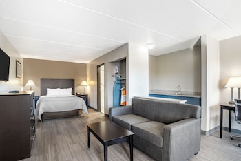 Suite, 1 King Bed with Sofa bed, Non Smoking (Efficiency, Upgrade)