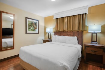 Suite, 1 King Bed, Non Smoking, Kitchenette (with Sofabed)