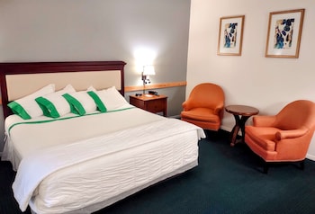 Premium Room, 1 King Bed, Non Smoking