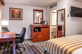 Standard Room, 1 Queen Bed, Non Smoking, Refrigerator