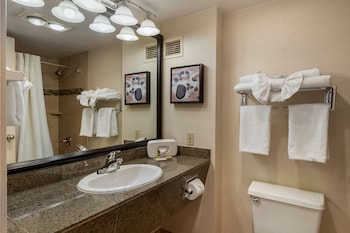 Standard Room, Multiple Beds, Non Smoking, Kitchenette (Pet Friendly)