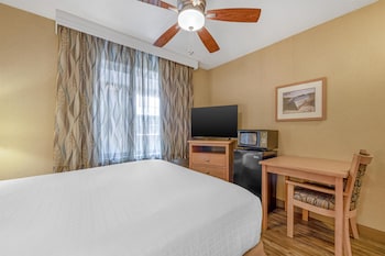 Standard Room, 1 Queen Bed, Accessible, Non Smoking