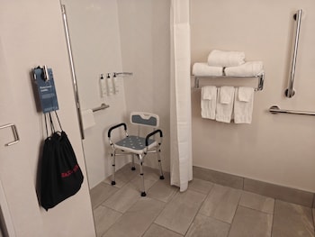 Room, 1 King Bed (Mobility Accessible, Roll-in Shower)