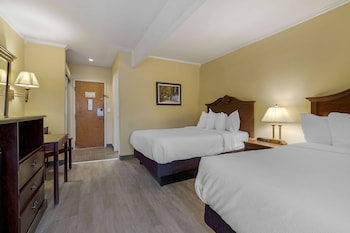 Standard Double Room, 2 Double Beds, Non Smoking